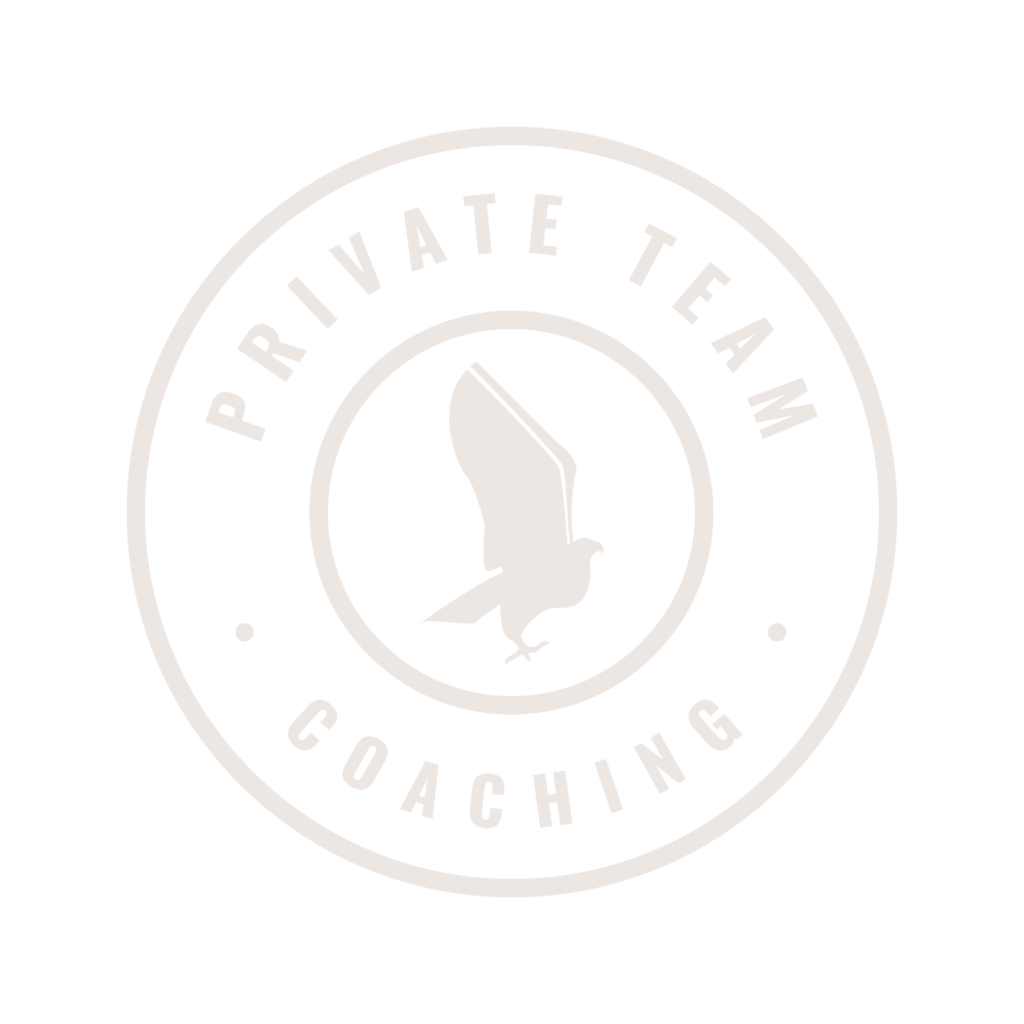 private team coaching icon